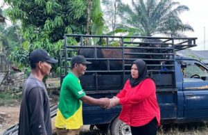 Anggota DPRD Lampung Ferliska Berikan Hewan Qurban untuk Desa Raman Fajar